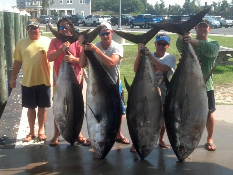 This is the bigeye catch aboard Charlie Horning’s Fish Whistle out of Indian River Wednesday night, July 17. Lines went in at 7 p.m. and the mayhem started immediately. The photo shows two 271-pounders, one weighing 192 pounds and the baby of the bunch at 178 pounds. Shown (l-r) are Capt. Charlie Horning, Erik Piatalli, Jeremy Diehl and Kevin DeEmidio.