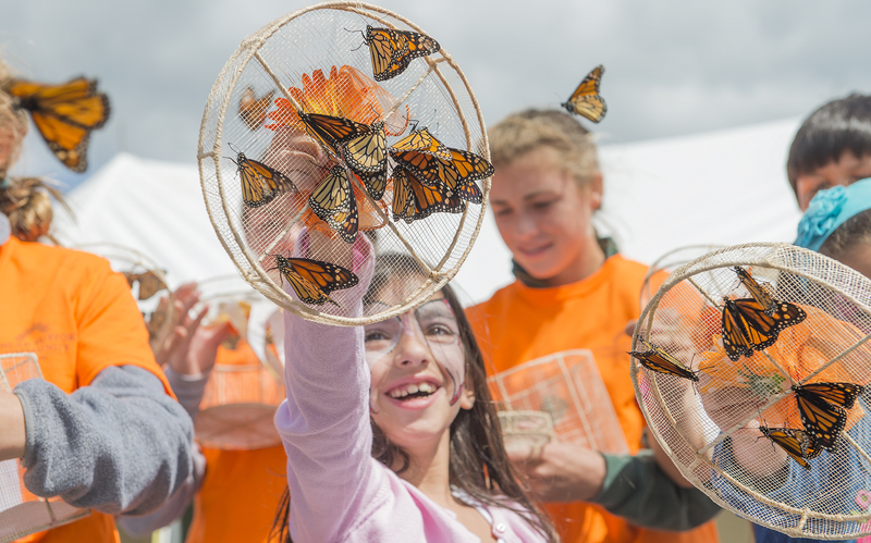 Children, including Isabella Berberian, front, and Regan Lingo, filled the stage and opened the boxes of Monarch Butterflies. BY DENY HOWETH