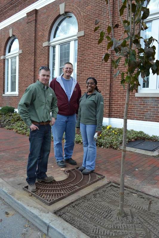 Delaware Forest Service Urban and Community Forestry Program Coordinator Kyle Hoyd (l-r) joins Georgetown Town Manager Eugene Dvornick and DFS urban forester Kesha Braunskill outside Georgetown Town Hall along East Market Street, where 18 new trees were planted as part of a $37,000 streetscape improvement project. SOURCE SUBMITTED