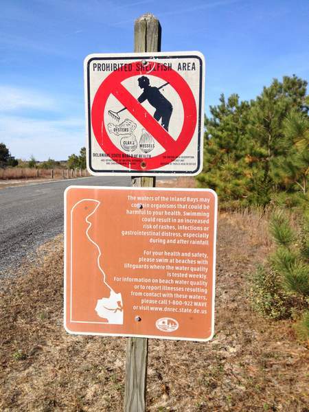 These signs are posted at the Savages Ditch kayaking launching area along Rehoboth Bay. DNREC officials have reported that 94 percent of Delaware's rivers and streams and 74 percent of lakes and ponds throughout the state are polluted and do not support healthy aquatic life, while 86 percent of rivers and 41 percent of lakes and ponds are not safe for swimming. BY DENNIS FORNEY