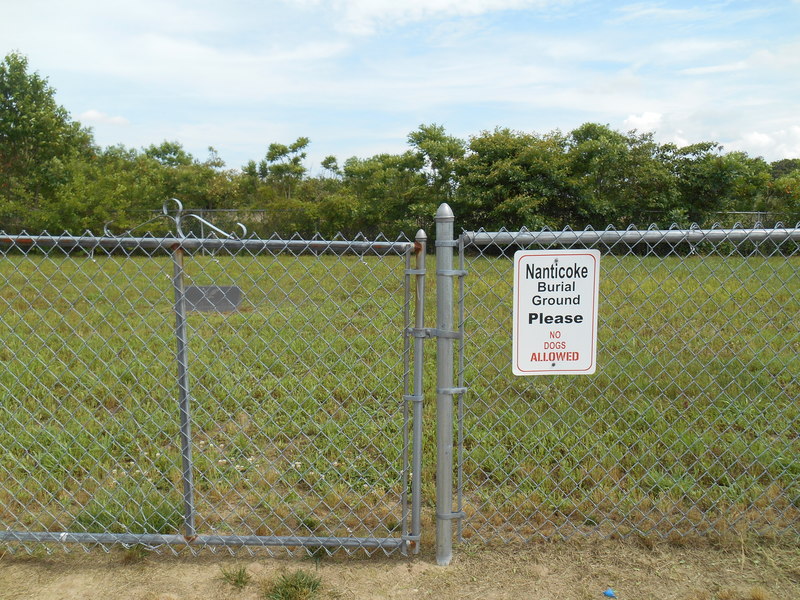 The Jackson Pit Brownfield site is located behind this treeline, behind a recognized Nanticoke Indian burial ground. Residents and Nanticoke representatives voiced concerns about a proposed development slated for the site because of other potential burial grounds in the area, among other reasons. BY MADDY LAURIA