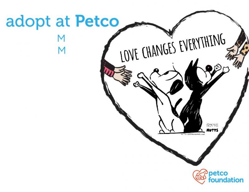 adoption event at rehoboth beach petco cape gazette petco local flyer