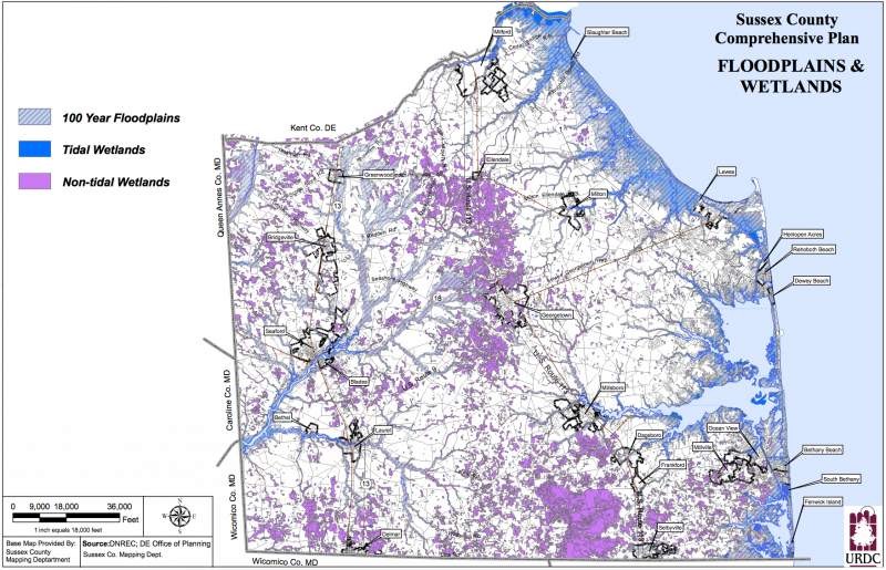 Small impacts equal big loss for wetlands  Cape Gazette