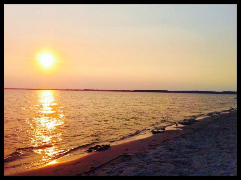 Rehoboth Bay, horseshoe crab, bay, delaware, dewey, lewes, broadkill beach