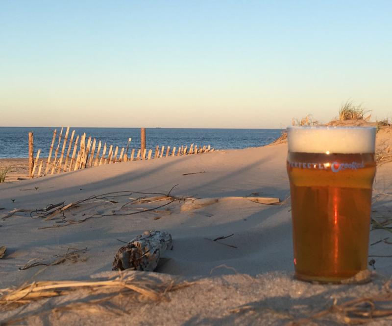 Crooked Hammock Brewery summer with Beach Escape Cape Gazette