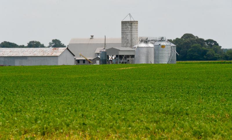 Sussex County officials have not contributed money to the state’s farmland preservation program since 2009, and have not spent $1.4 million dedicated to the purchase of open-space land. County council members want the funds spent on land with public access, which does not include farmland. RON MACARTHUR PHOTO