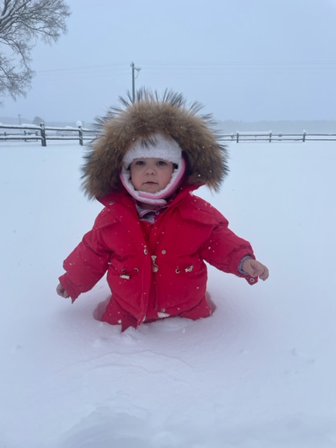 As of 10 a.m. Jan. 29, the snow was half-a-toddler deep in Harbeson, as illustrated here by Mayvis Baker, in a photo made by her father, Matthew.