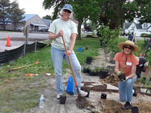 Peggy Hepburn, left, and Sande Taylor formed a partnership during the rain garden planting. Hepburn dug the holes and Taylor followed to place the plants. BY RACHEL SWICK MAVITY