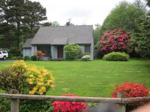 The rhododendrons at the park ranger's house are in their full glory now. Huge rhododendron displays up and down the coast - wild and cultivated.