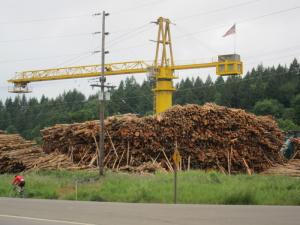 Logging continues to be big business in Oregon. A man at the campground told me it's become a sustainable and well-managed business.