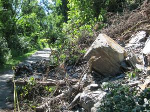 You know those CAUTION: FALLING ROCKS signs? Here's an example, on the trail just east of Pittsburgh. Mike, a trail volunteer, said the slide blocked the trail two days before it was to open officially, meaning lots of people had to scramble. You don't just sweep boulders like this out of the way. Maintaining trails like these takes lots of effort and lots of people volunteer time and money to help out. Mike's in the next photo and the one beyond that shows a plaque frecognizing a generous donation that helped pay for a trail bridge near the Edgar Thompson Works.