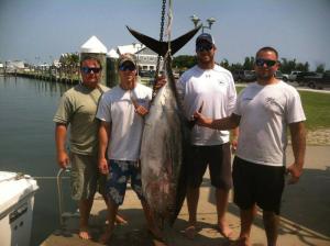 Steve Samluk Sr, Phil McAtee, Travis Scott, and Steve Samluk Jr … 206 lb big eye caught by Steve Samluk jr aboard the Marilyn Rose, owned by cousin Phil McAtee.