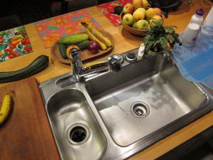 This is my kitchen sink. See how special it looks? My sister Gerry - the acupuncturist - says Gramma Doris always told her that if you have a stainless steel sink you should dry it after you're done doing dishes. That's what makes it look so good. This is kind of a still life: Dried Sink with Fresh Fruit and Vegetables. Gramma Doris lived in the Big Thompson Canyon in Colorado between Loveland and Estes Park. I'm wondering how hard the canyon was hit by the recent rains. After my grandfather Ross died, she moved from their mountainside place called Nugget Springs up to Estes Park near the entrance to Rocky Mountain National Park. A mighty fine woman, she smiled a lot and had wrinkles all over her face to prove it. Since she died, there has been a Dodge Dart named Gramma Doris and a fishing boat too.