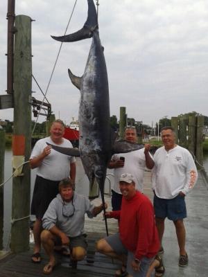 Pending Delaware State Record Swordfish caught by Kurt Lorenz (red shirt) on Candy's Reel Choice with Mark Avon (boat owner), Rusty Smith, Captain Ragni, Captain Pete Floyd. Weight is 358 pounds, 140 inches sword to tail and 90 inches jaw to fork. Weighted at Lewes Harbor Marina.