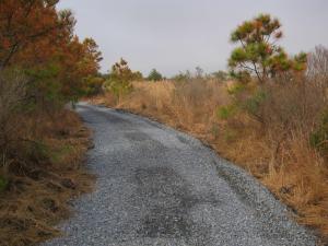 Just beyond the Gordons Pond observation tower, contractors have hardened the extension trail with large stones. Finer gravel will be overlaid on the stones to create a smooth final surface similar to the trail that leads to the observation tower from the Gordons Pond parking lot.