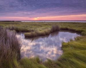 Leslie Sinclair of Rehoboth Beach won first place in the Delmarva Scenery category for “Marsh Sunrise,” taken on Smith Island in the Chesapeake Bay.