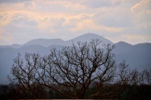Vistas of the Blue Ridge Mountains serve as the background to Biltmore. Workers built a hill before construction started as the mansion's foundation to provide better views from Biltmore windows and porches. BY RON MACARTHUR