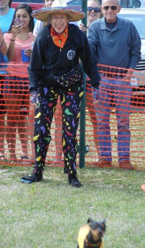 Dressed for the occasion, Carol French of Alexandria, Va., watches as her miniature Doberman pinscher Tyson takes off in a blur. Tyson was last year's champion in the I-wish-I-were-a-Chihuahua category. He won again this year, with a time a little over three seconds. BY CHRIS FLOOD
