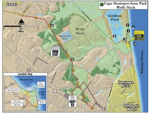 The yellow area is the Gordon's Pond parking lot at Cape Henlopen State Park. Rehoboth Beach police plan to route visitors leaving the July 4 fireworks down Henlopen Avenue, to the circle and onto Church Street, where they will eventually come out on Holland Glade Road. SOURCE CAPE HENLOPEN STATE PARK