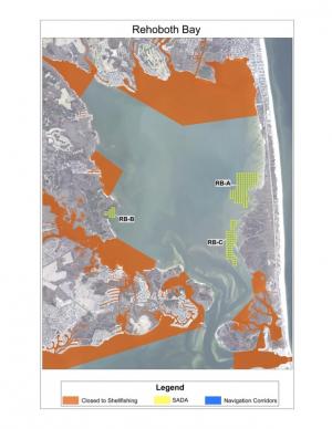 This map shows Shellfish Aquaculture Development Areas in the Rehoboth Bay. SOURCE DNREC FISH AND WILDLIFE