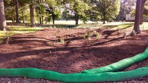 This rain garden was installed as part of a 2012 Center for the Inland Bays project. Rain gardens and maintaining vegetated buffers along streams and ditches are two ways to help remove excess nutrients from stormwater runoff. SOURCE SUBMITTED