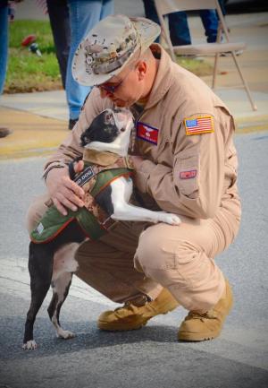 Desert Storm veteran Robert Roth gets a lick from his Boston Terrier, a post-traumatic stress disorder service dog, as they pause during the parade. RON MACARTHUR PHOTO