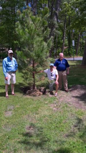 Photo of Mayor David Lyons and two tree committee members who helped plant tree in honor of Arbor Day
