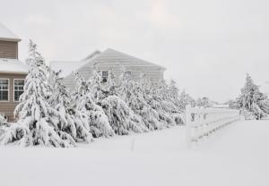 This iteration of snow clung to cars, trees and whatever else it landed on, making for very photogenic scenes throughout the Cape Region. BY NICK ROTH