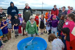 Lauren Barbieri, a Delaware Division of Parks and Recreation program coordinator, talks about marine life – including a horseshoe crab – they just got out of the Delaware Bay i BY RON MACARTHUR