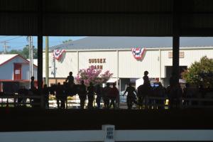 Young riders line up in the main arena in preparation for a show on the next to last day of the 10-day Delaware summer tradition.