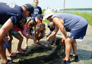 Dewey Beach Patrol's Chico Barranco points out aquatic macro-invertebrates caught in his sein to the children gathered at his station. BY DAN COOK