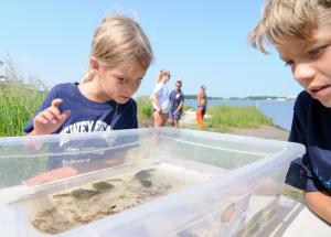 Emma Keil, 7, left, and her brother Wyatt, 11, examine the aquatic life caught by Envirotech Environmental Consulting. BY DAN COOK