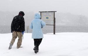 A couple takes a stroll in near white out conditions along Mulberry Street in Milton. DAN COOK PHOTO
