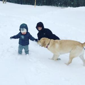 Hayes brothers playing in the snow! Gary, 13, and Carter, 14 months. ASHLEY HAYES PHOTO