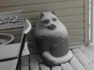 Cool cat submitted by Fred Episcopo of Rehoboth Beach.