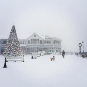 Snow day on the boardwalk in Bethany Beach. RITA DVOYNIKOVA PHOTO