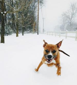 Jones has the time of his life in Millsboro. ERICA LUDWIG PHOTO