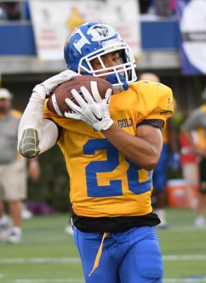 Gold receiver John Castro from Dover catches a Nolan Henderson pass for a Gold touchdown. DAN COOK PHOTO
