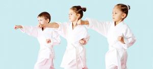 karate, Wicomico Recreation, Sensei David Doran, Wicomico, Salisbury