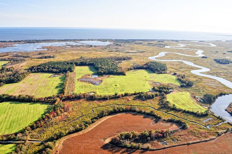 Two bayshore estates to be auctioned July 19 Cape Gazette