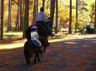 Redden Ride And Walk Set For Oct 16 Cape Gazette The Redden Ride And Walk Scheduled For Sunday Oct 16 Will Benefit Southern Delaware Therapeutic Recreational Horseback Riding An Organization Which