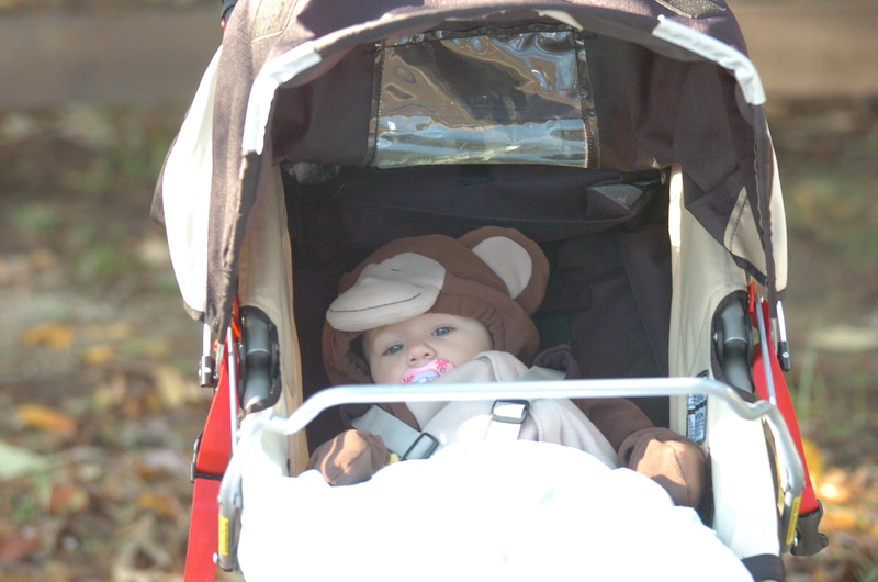 monkey bassinet
