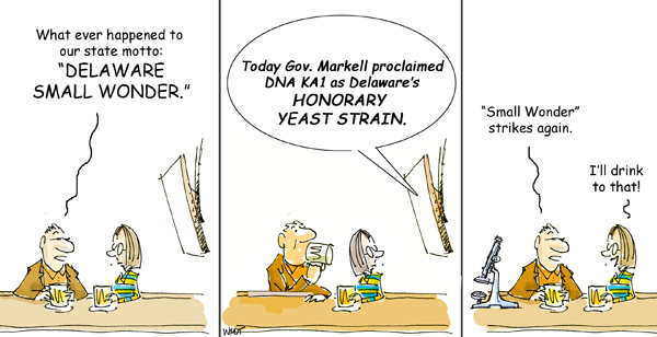 Yeast Cape Gazette