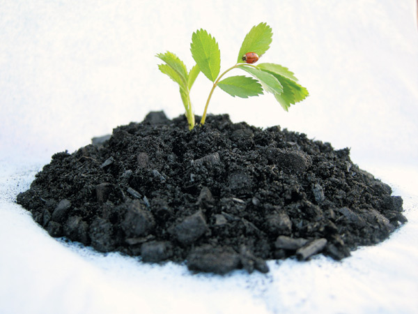 Add charcoal to create rich, quality garden soil | Cape Gazette