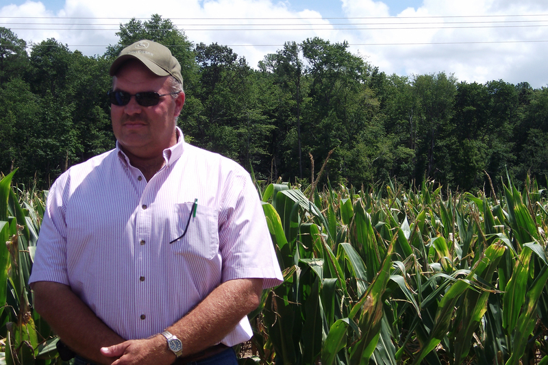 Sussex experiencing severe drought | Cape Gazette