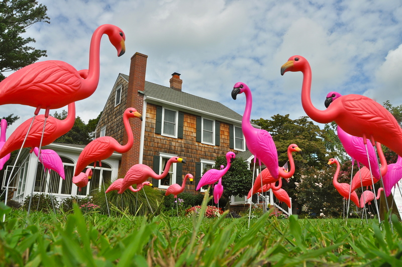 World Products Pink Flamingo Lawn Ornament 12 Pack Flamboyance Flock Youve Been Flocked 