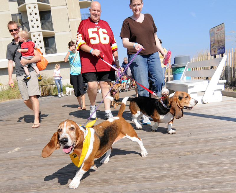 Bark on the Boards benefits SPCA shelter Cape Gazette