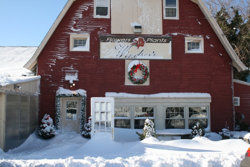 Windsor S Flowers Plants Marks 39th Year With Annual Christmas The Old Red Barn Houses Windsor S Flowers And Plants On Coastal Highway In Rehoboth Was Once Used To Le Horses For Dupont Family
