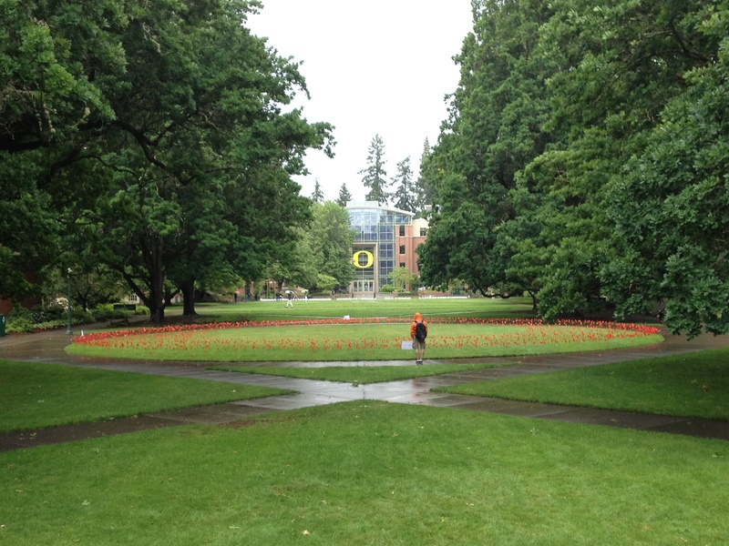 They're setting up Memorial Day celebrations on the University of Oregon camps. These red flags commemorate those who have lost their lives in service to their country and those who have lost their lives in war-related activities. At the far end of the heart of the campus is a big O on the front of the School of Business. The main campus green is shaded on both sides by more of the magnificent black oaks. BY DENNIS FORNEY