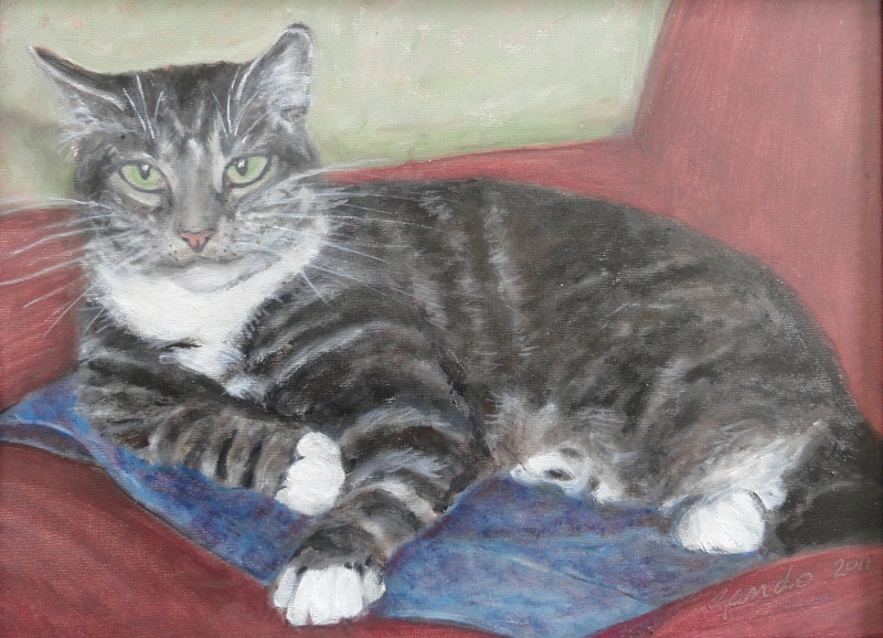 reigning cats and dogs rescue